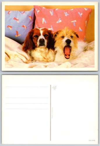 Cute dogs yawning relaxing - dogs,