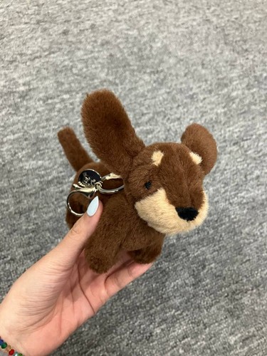 Otto sausage dog - otto,