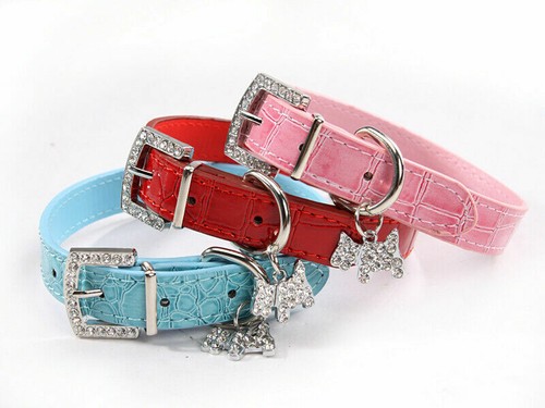 Dog collar rhinestone - collar, charm