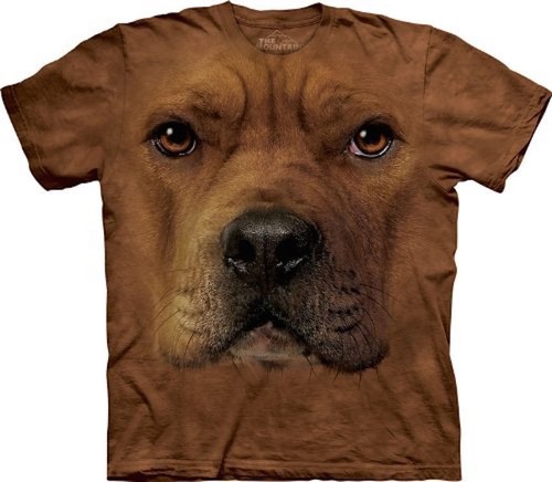 The mountain pit bull dog - bull,