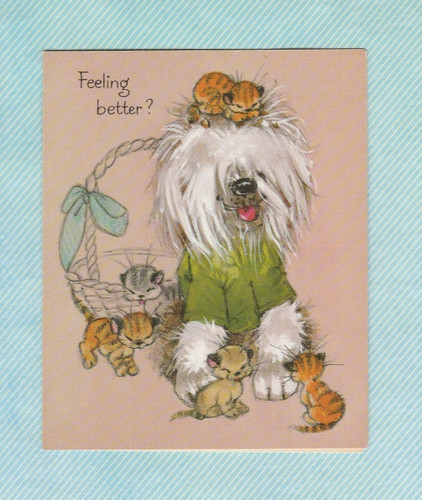 Cute shaggy dog - dog, with