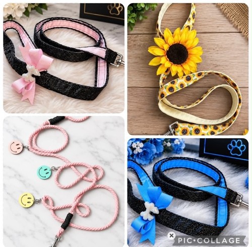 Cute leash for dogs
