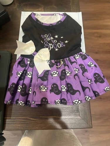 Too cute spook small - spook, dog