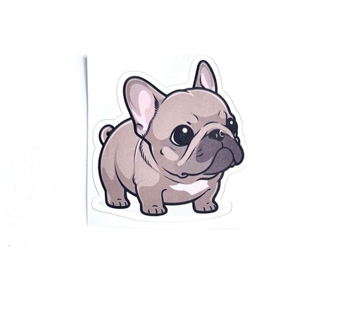 Cute french bulldog puppy - bulldog,