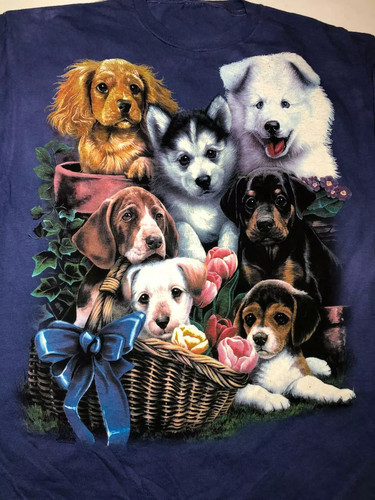 Puppy collage cute dogs - puppy,