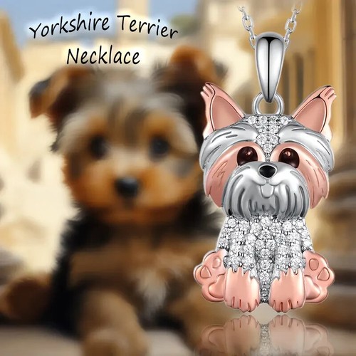 Cute yorkshire terrier puppy - terrier,