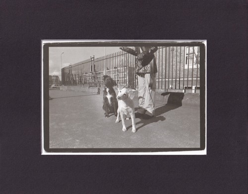 8x10 matted print photo - 8x10",
