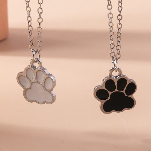 Cute dog cat - cute, &