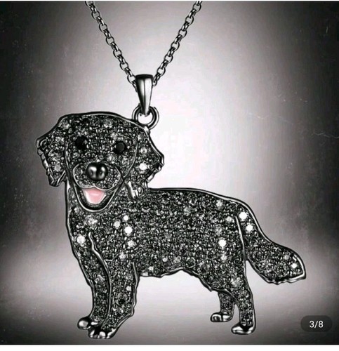 Cute black labrador retriever - labrador,