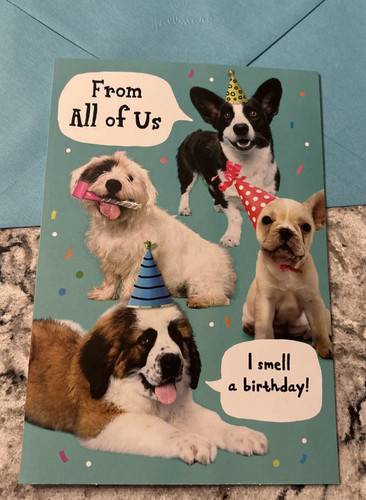 Birthday funny from all - birthday,