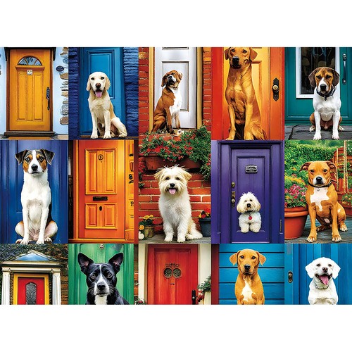 500 piece jigsaw puzzle for - 500,