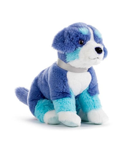 Bernese mountain dog blue and - dog,