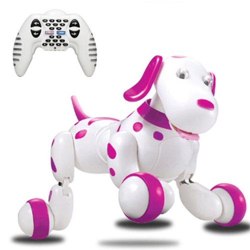 Simbu smart dog cute - simbu, puppy