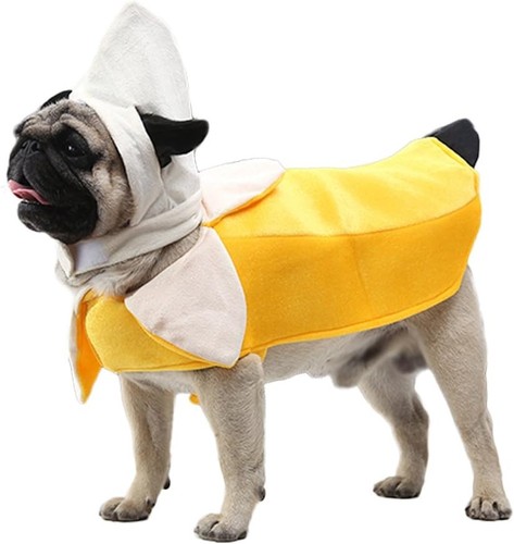 Banana dog costume funny - dog,