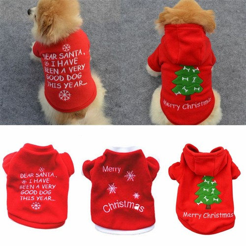 Cute dog puppy christmas santa - dog,