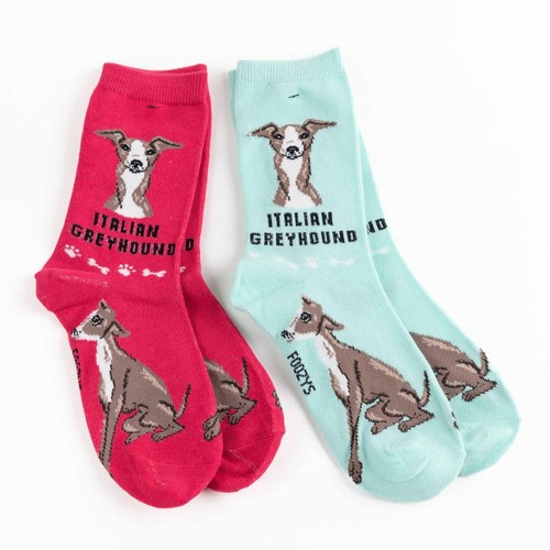 Italian greyhound dog - dog, 2